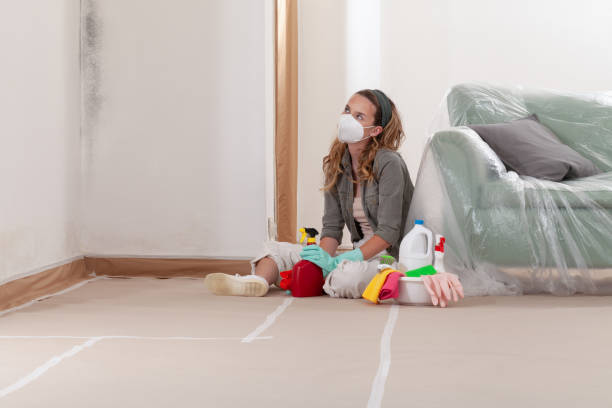 Reliable Basement Mold Remediation contractor in Elizabethtown, PA by WQB Mold Removal